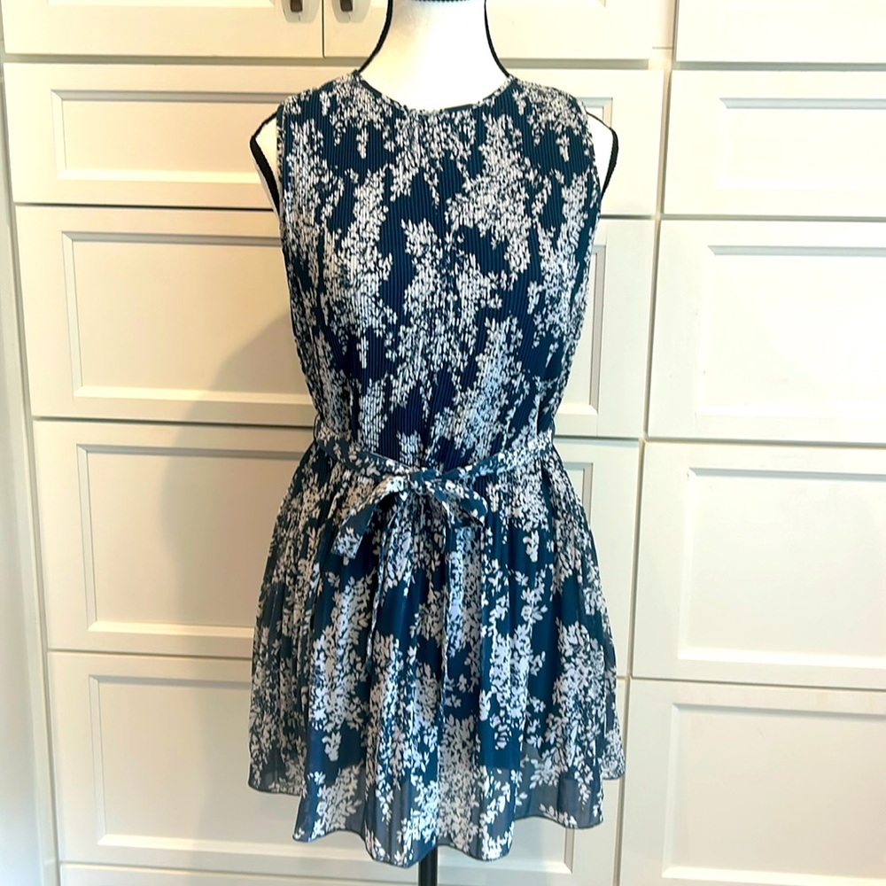 Abercrombie & Fitch Blue and White Floral Dress